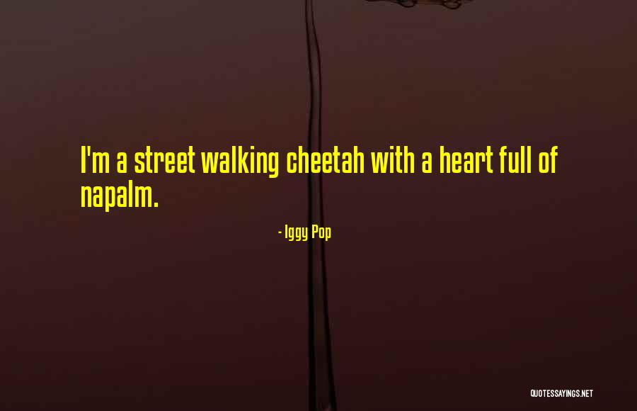 Iggy Quotes By Iggy Pop Iggy Quotes By Iggy Pop