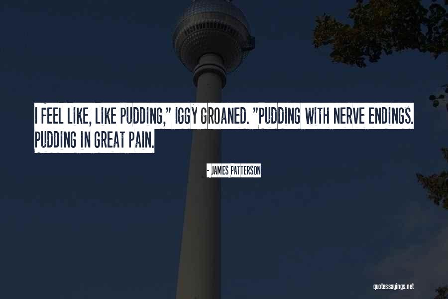 Iggy Quotes By James Patterson Iggy Quotes By James Patterson