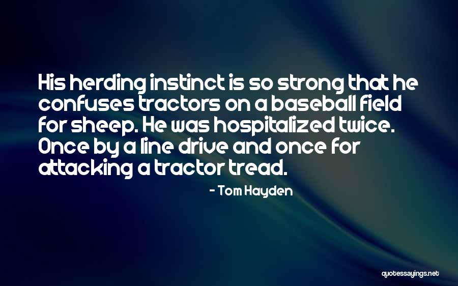 Igiebor Free Quotes By Tom Hayden Igiebor Free Quotes By Tom Hayden