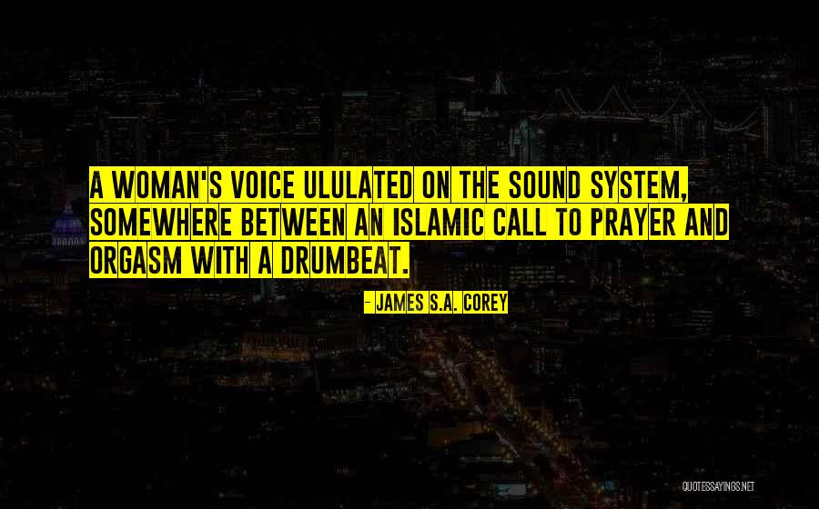 Igino Accordini Quotes By James S.A. Corey Igino Accordini Quotes By James S.A. Corey