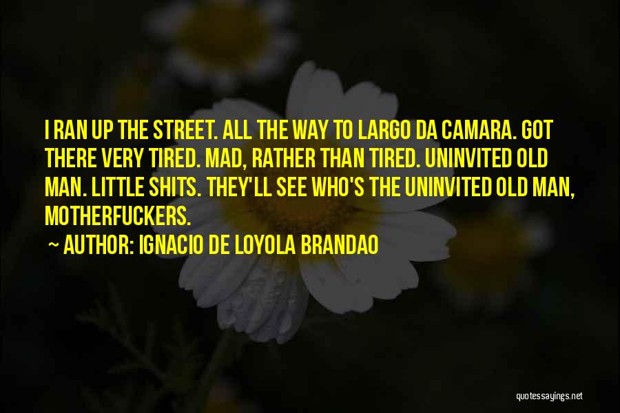 Ignacio De Loyola Brandao Quotes 2058485