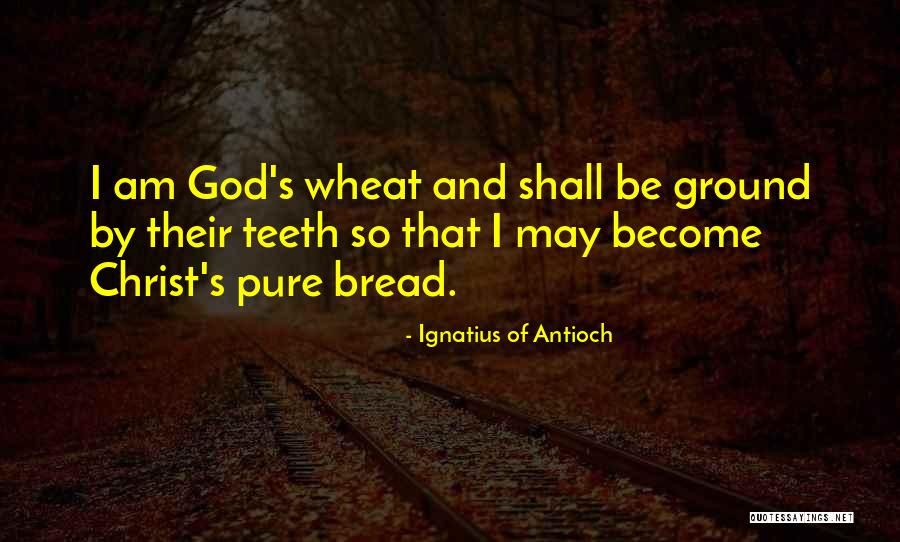 Ignatius Antioch Quotes By Ignatius Of Antioch