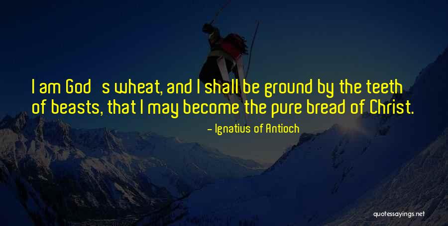 Ignatius Antioch Quotes By Ignatius Of Antioch