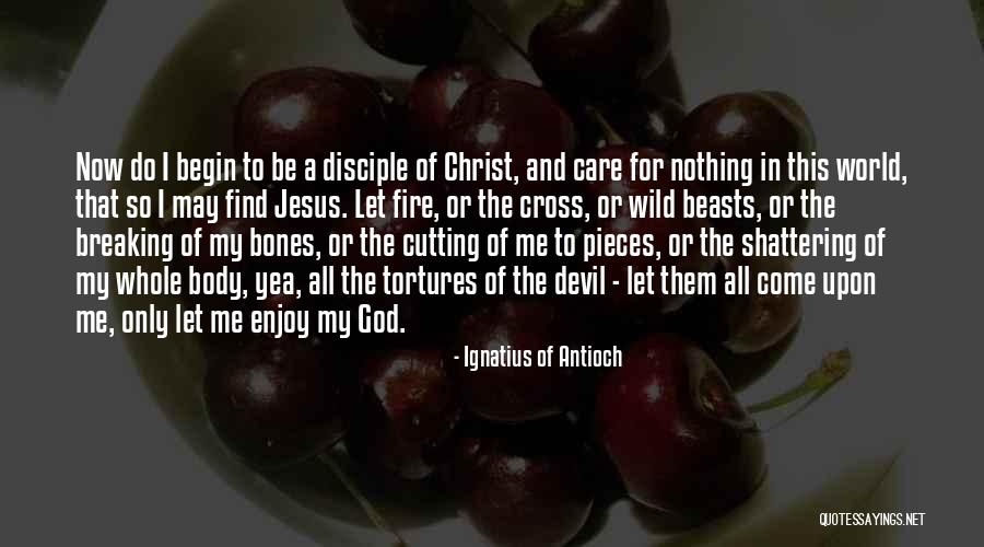 Ignatius Antioch Quotes By Ignatius Of Antioch