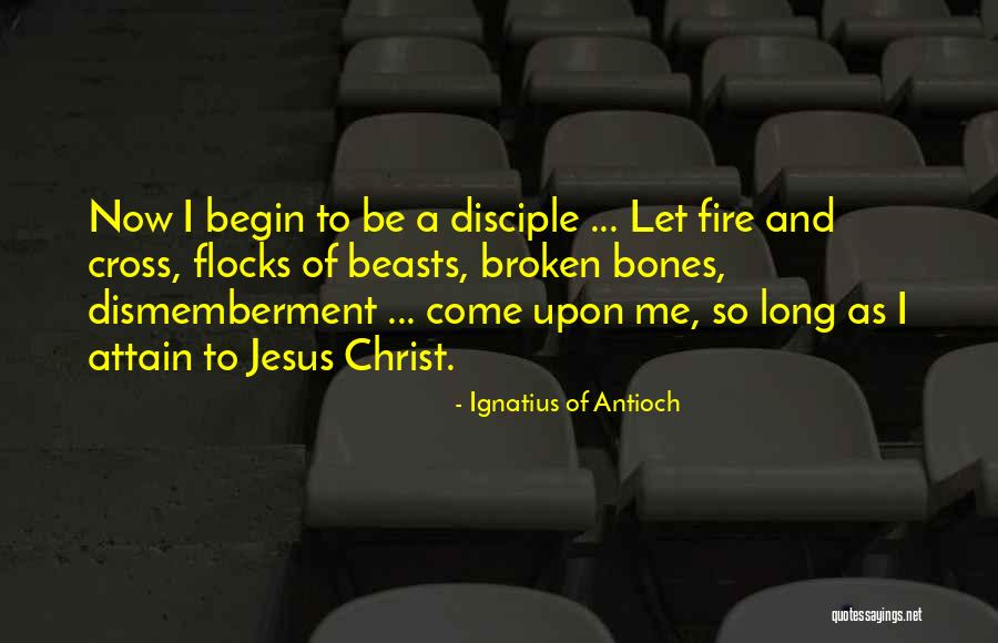 Ignatius Of Antioch Quotes 1017952