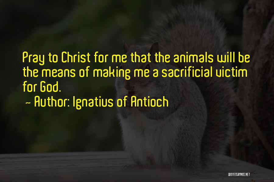 Ignatius Of Antioch Quotes 218198