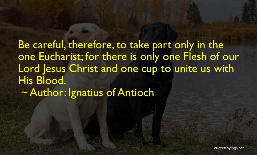 Ignatius Of Antioch Quotes 2223942
