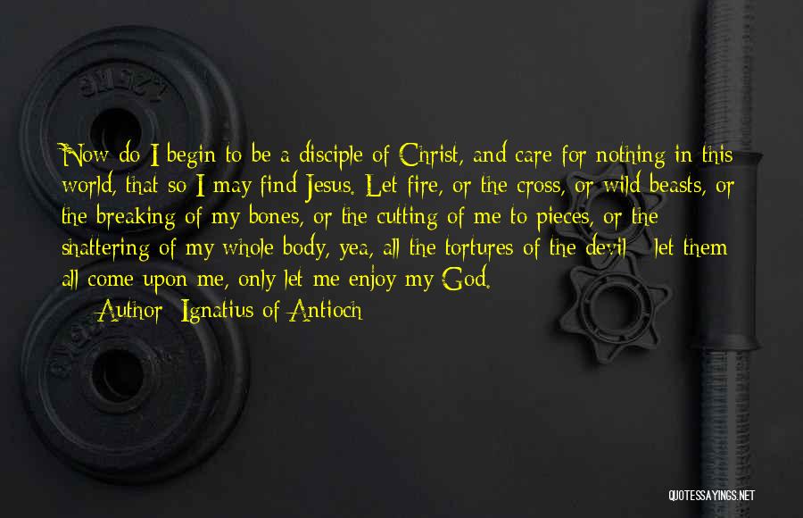 Ignatius Of Antioch Quotes 700050