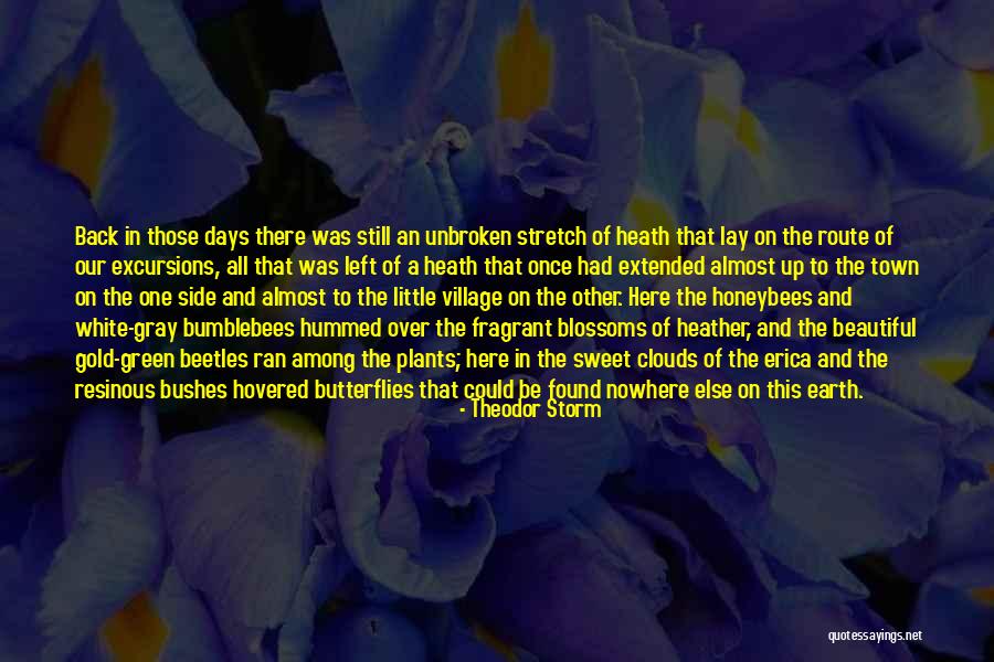 Ignatov Arrest Quotes By Theodor Storm Ignatov Arrest Quotes By Theodor Storm