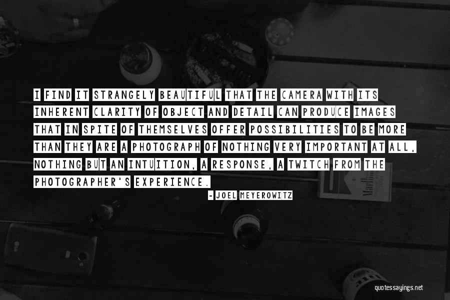 Ignatov Artist Quotes By Joel Meyerowitz Ignatov Artist Quotes By Joel Meyerowitz