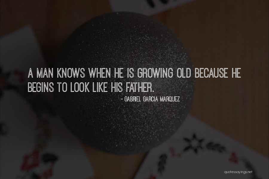 Ignes Sodre Quotes By Gabriel Garcia Marquez Ignes Sodre Quotes By Gabriel Garcia Marquez