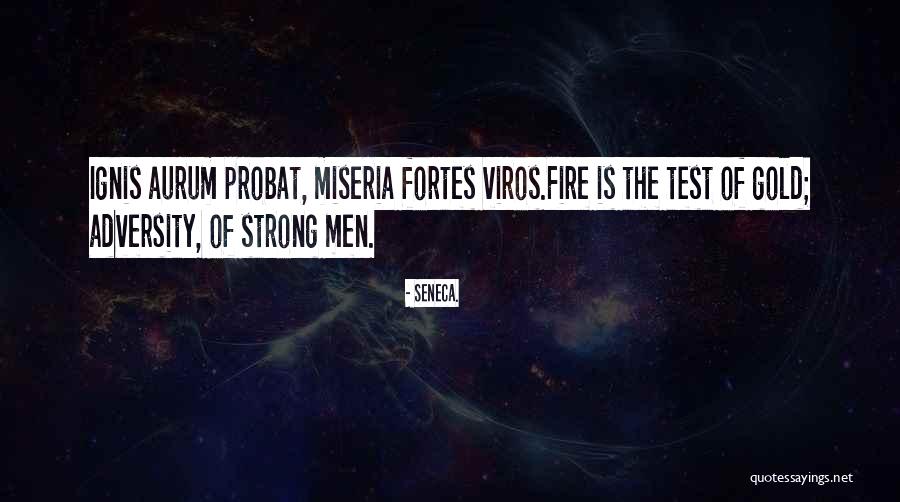 Ignis Quotes By Seneca. Ignis Quotes By Seneca.