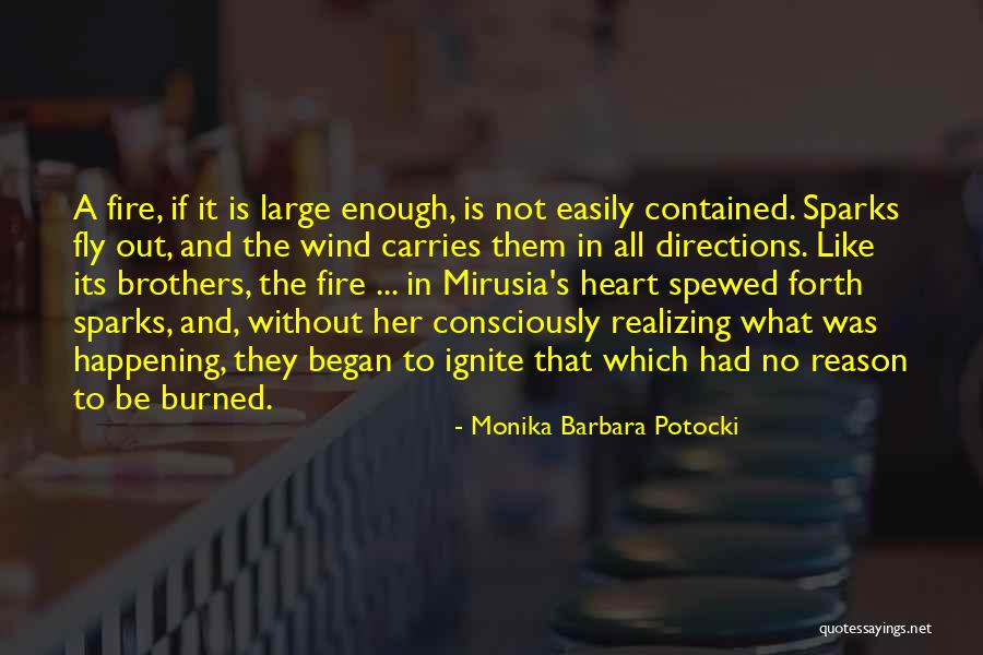 Ignite A Fire Quotes By Monika Barbara Potocki Ignite A Fire Quotes By Monika Barbara Potocki