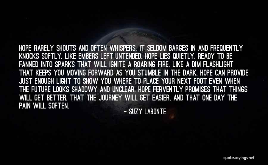 Ignite A Fire Quotes By Suzy LaBonte Ignite A Fire Quotes By Suzy LaBonte