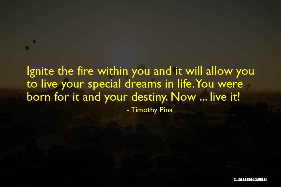 Ignite A Fire Quotes By Timothy Pina Ignite A Fire Quotes By Timothy Pina