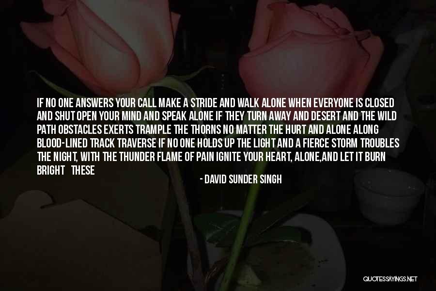 Ignite The Light Quotes By David Sunder Singh