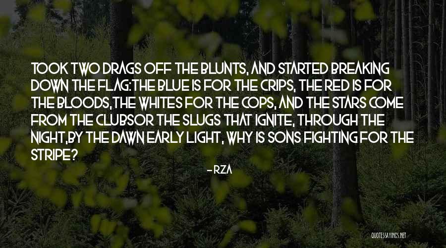 Ignite The Light Quotes By RZA