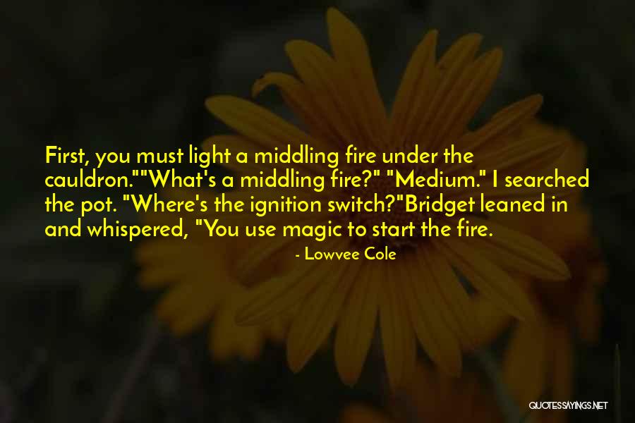 Ignition Switch Quotes By Lowvee Cole Ignition Switch Quotes By Lowvee Cole