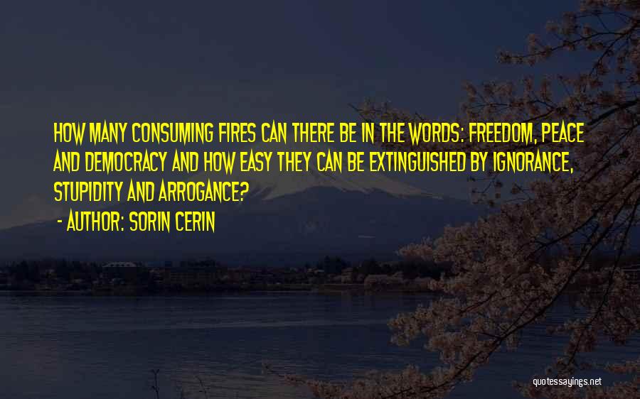 Ignorance And Democracy Quotes By Sorin Cerin