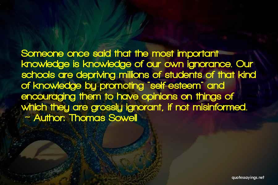 Ignorance And Education Quotes By Thomas Sowell