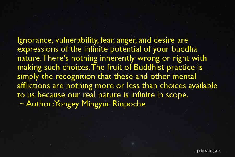 Ignorance And Fear Quotes By Yongey Mingyur Rinpoche