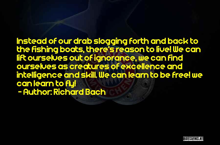 Ignorance And Intelligence Quotes By Richard Bach