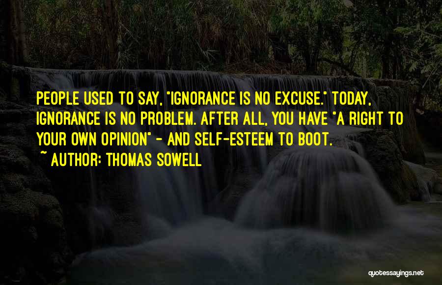 Ignorance Is No Excuse Quotes By Thomas Sowell