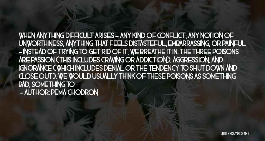 Ignorance Is Painful Quotes By Pema Chodron