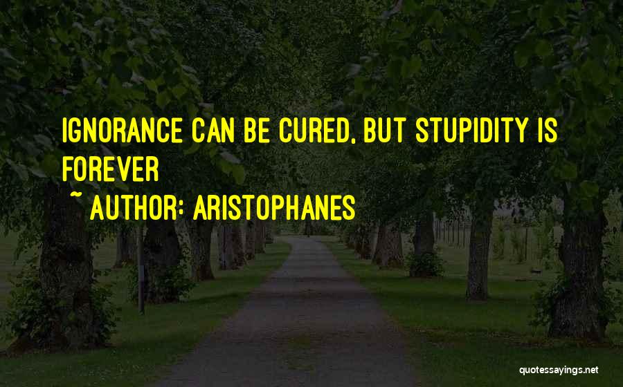 Ignorance Is Stupidity Quotes By Aristophanes