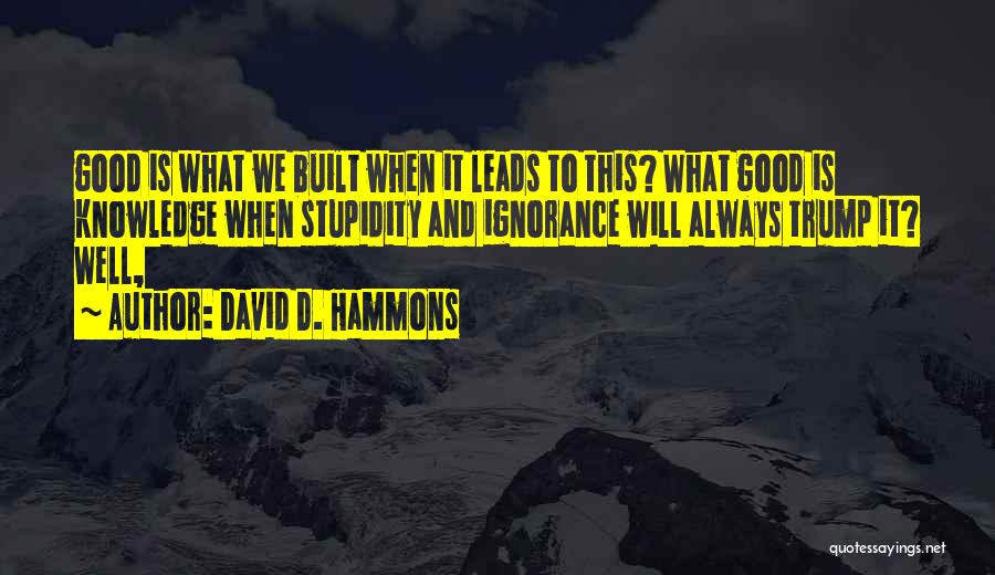 Ignorance Is Stupidity Quotes By David D. Hammons