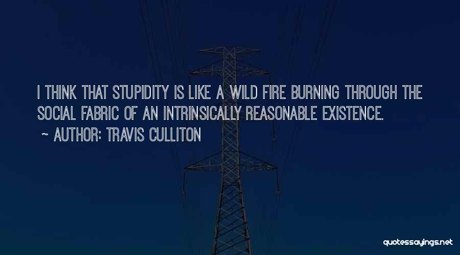 Ignorance Is Stupidity Quotes By Travis Culliton