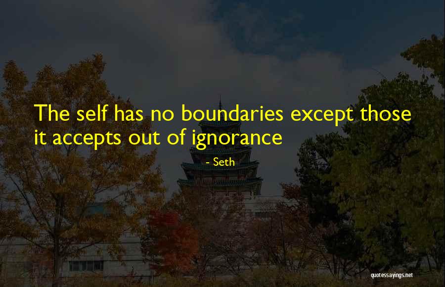Ignorance It Quotes By Seth Ignorance It Quotes By Seth