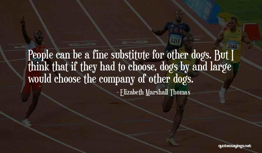 Ignorance Quotations Quotes By Elizabeth Marshall Thomas Ignorance Quotations Quotes By Elizabeth Marshall Thomas