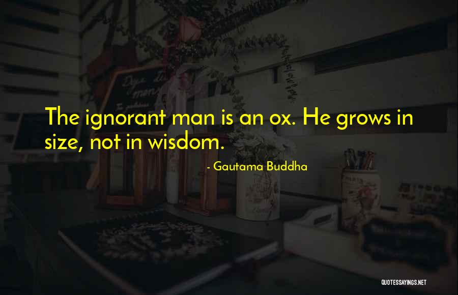 Ignorant Man Quotes By Gautama Buddha Ignorant Man Quotes By Gautama Buddha