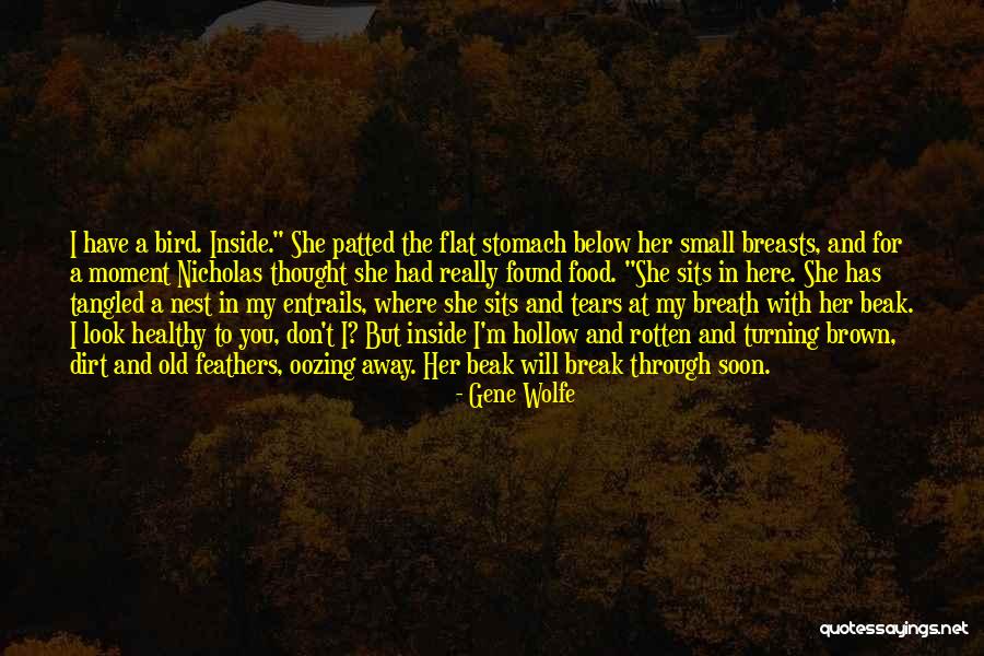 Ignorare Sinonimi Quotes By Gene Wolfe Ignorare Sinonimi Quotes By Gene Wolfe