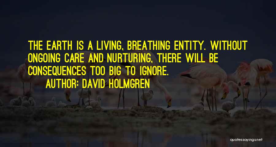 Ignore Care Quotes By David Holmgren