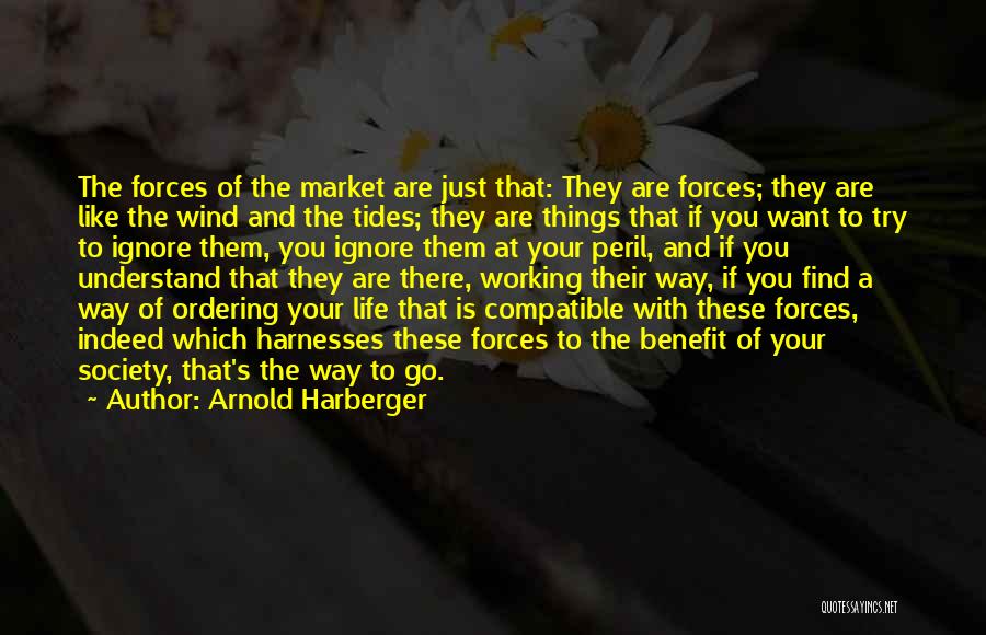 Ignore Them Quotes By Arnold Harberger