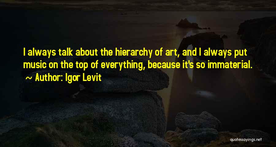 Igor Levit Quotes 1065491