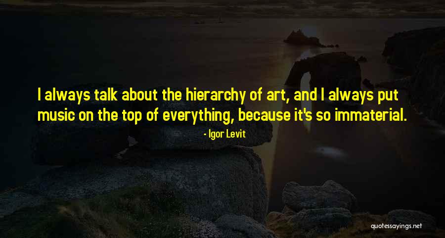 Igor Levit Quotes 1065491