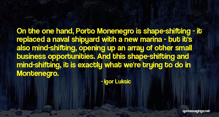 Igor Luksic Quotes 1255550 Igor Luksic Quotes 1255550