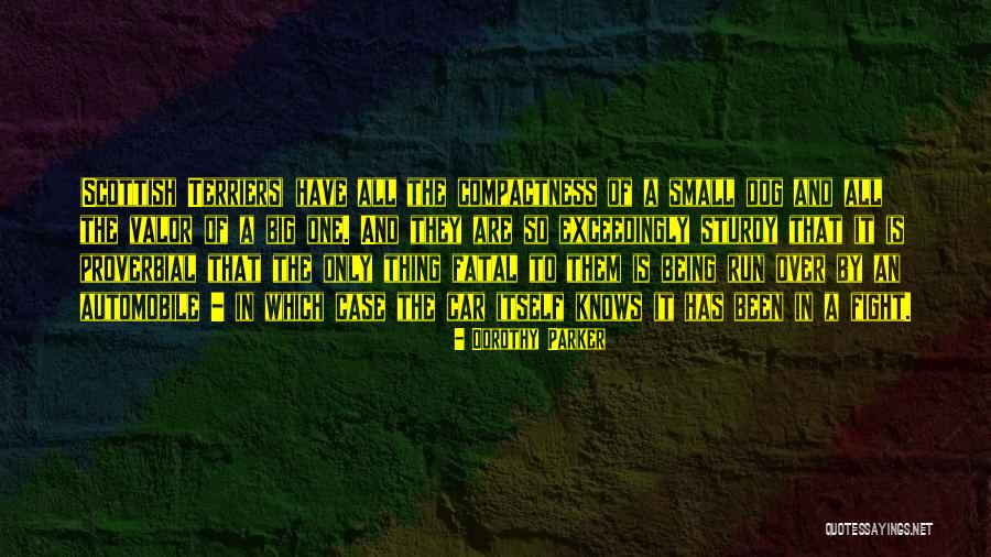 Iguales En Quotes By Dorothy Parker Iguales En Quotes By Dorothy Parker
