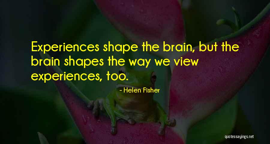 Iheanacho News Quotes By Helen Fisher Iheanacho News Quotes By Helen Fisher