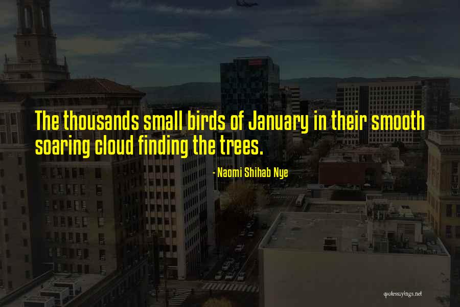 Iholland Quotes By Naomi Shihab Nye Iholland Quotes By Naomi Shihab Nye