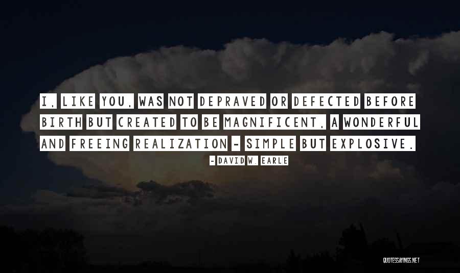 Ihracat Quotes By David W. Earle Ihracat Quotes By David W. Earle