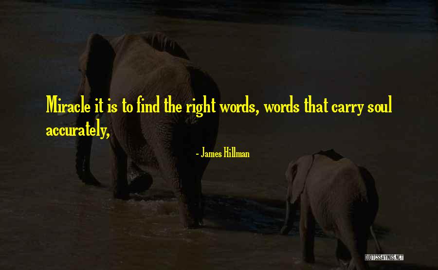 Ihtiyat Sandigi Quotes By James Hillman Ihtiyat Sandigi Quotes By James Hillman