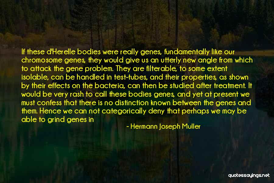 Ihzar Quotes By Hermann Joseph Muller Ihzar Quotes By Hermann Joseph Muller