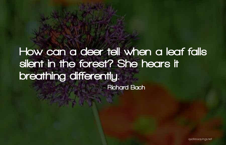Ihzar Quotes By Richard Bach Ihzar Quotes By Richard Bach