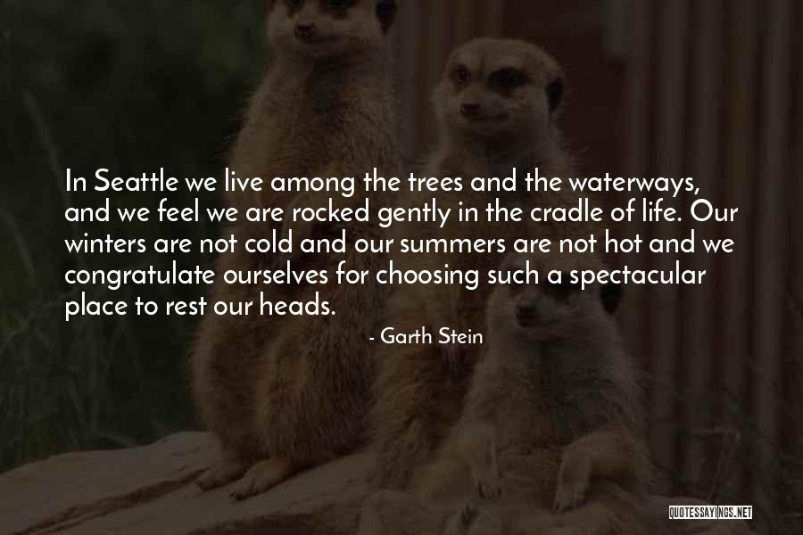 Iiminc Quotes By Garth Stein Iiminc Quotes By Garth Stein