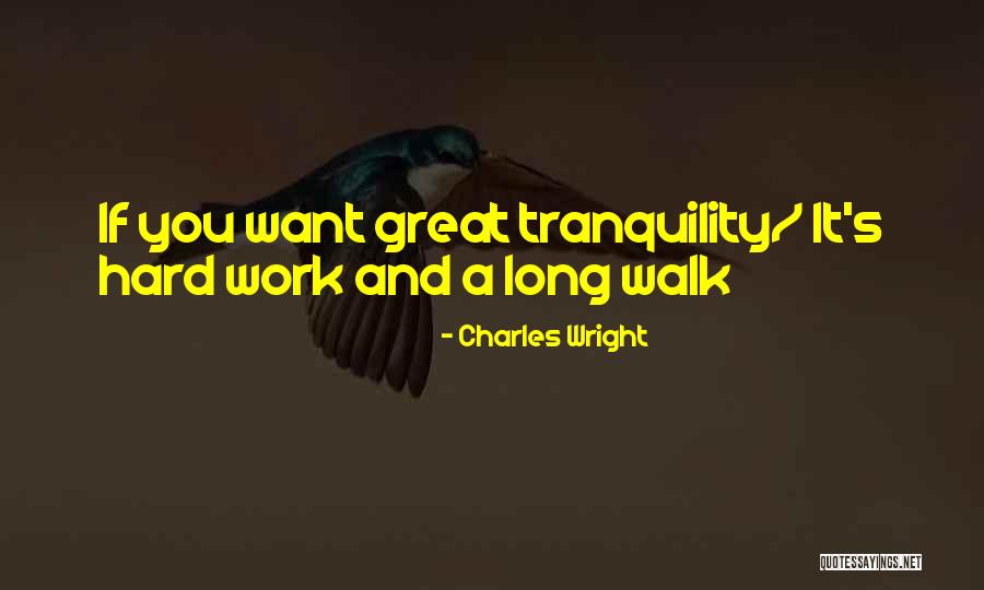 Iisar Quotes By Charles Wright