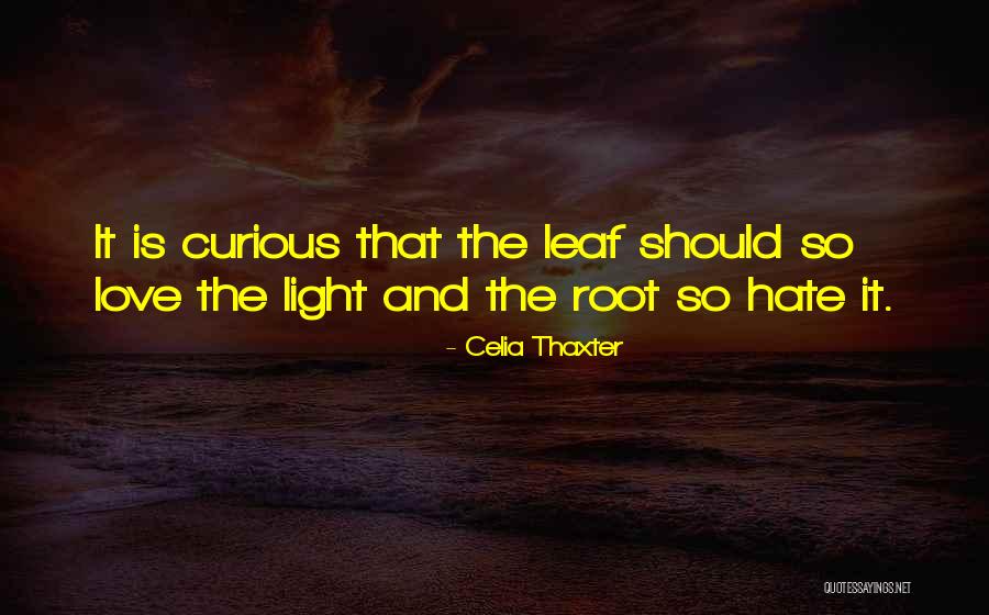 Ijem Journal Quotes By Celia Thaxter Ijem Journal Quotes By Celia Thaxter